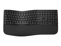 HP 685 - Tastatur - dual modus, 3-sone layout, flere enheter, 23 programmerbare taster, OS automatisk deteksjon, lav profil tastereeise - 100% - full size - trådløs - 2.4 GHz - Pan Nordic - svart 8T6L9UT#UUW