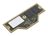Lenovo - LPDDR5X - modul - 32 GB - CAMM - 7500 MHz - grønn - for ThinkPad P1 Gen 7 21KV, 21KW 4X71Q25456