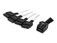 StarTech.com 1m Internal Mini SAS to SATA Cable - SFF-8643 to 4x SATA (SAS43SAT1M) - SATA/SAS-kabel - 4 x Mini SAS HD (SFF-8643) (P) til SATA (P) - 1 m - svart og sølv - for P/N: SFF86448PLT2 SAS43SAT1M