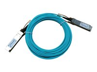HPE X2A0 - Nettverkskabel - QSFP28 til QSFP28 - 10 m - 10 m - fiberoptisk - aktiv - for FlexFabric 12900, 12900E 36, 12902, 5930, 5930 2QSFP+, 5930 2-slot, 5930 32, 5930 4-slot JL277A