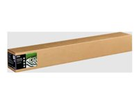 Epson Fine Art II - Bomull - strukturert matt - 515 mikroner - naturlig hvitt - Rull (111,8 cm x 15 m) - 300 g/m² - 1 rull(er) boks - klutepapir C13S450279NQ
